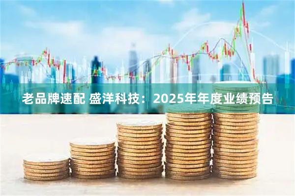 老品牌速配 盛洋科技：2025年年度业绩预告