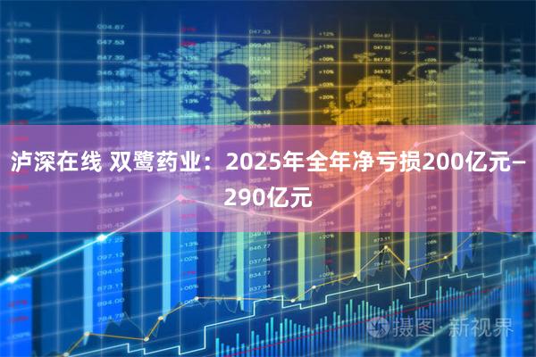 泸深在线 双鹭药业：2025年全年净亏损200亿元—290亿元