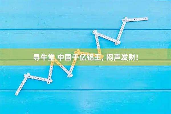 寻牛堂 中国千亿铝王, 闷声发财!